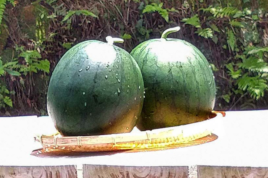 長崎県島原市のふるさと納税 BE275 黒小玉スイカ「ひとりじめBonBon」 5kg(1.7kg以上×2～3玉) ～名水百選の里 島原産～