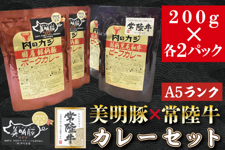 【茨城県行方市】DT-42【常陸牛A5ランク】カレー2パック+【美明豚】カレー2パック