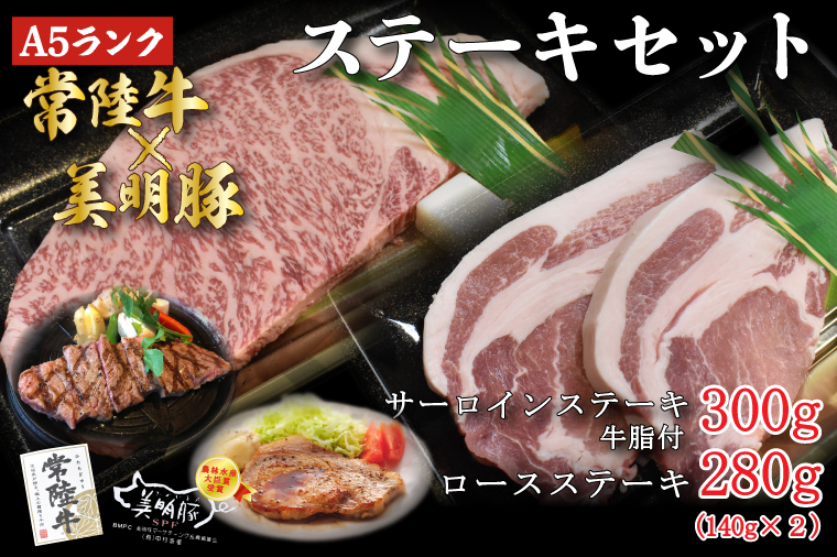 【茨城県行方市】DT-22【常陸牛A5ランク・美明豚ステーキセット】常陸牛サーロインステーキ300g+美明豚ロースステーキ280g(140g×2枚)