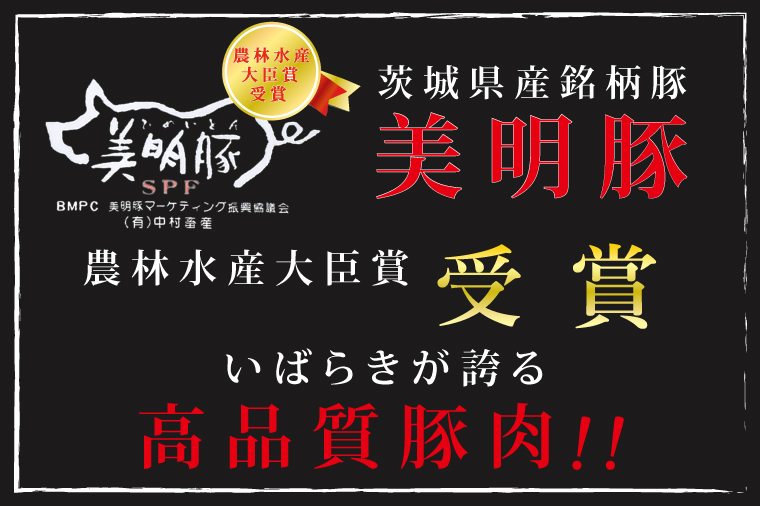 茨城県行方市のふるさと納税 DT-25【常陸牛A5ランク・美明豚焼肉セット】常陸牛カルビ180ｇ＋美明豚200ｇ（ロース100ｇ・ばら100ｇ）