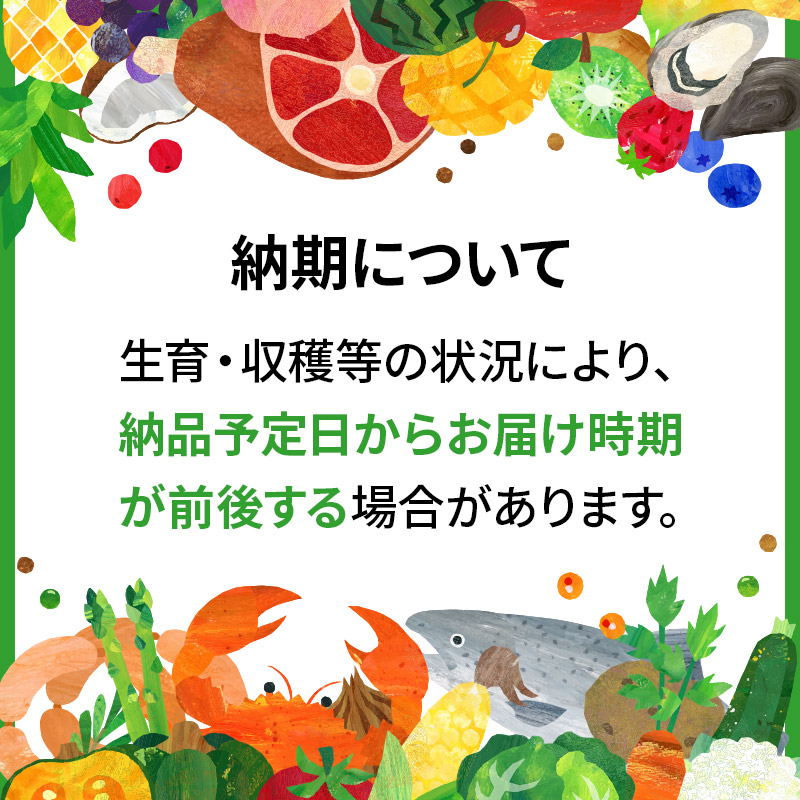 秋田県三種町のふるさと納税 《令和6年産 新米予約》《定期便3ヶ月》秋田県産 あきたこまち 10kg(10kg×1袋)×3回【白米】計30kg 令和6年産