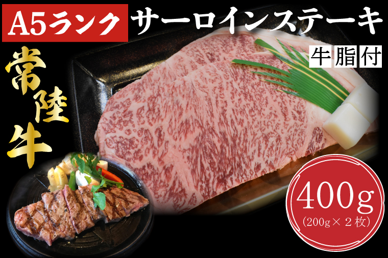 【茨城県行方市】DT-1【常陸牛A5ランク】サーロインステーキ 400g(200g×2枚)