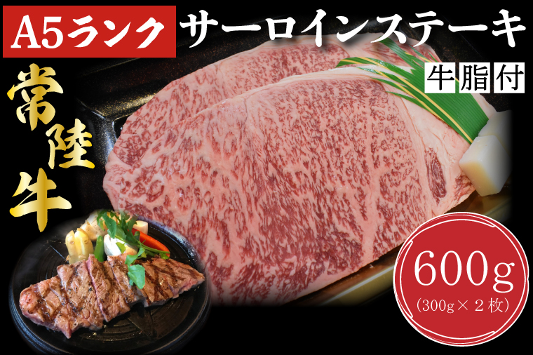 【茨城県行方市】DT-2【常陸牛A5ランク】サーロインステーキ 600g(300g×2枚)