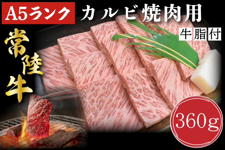 y錧sszDT-5y헤A5NzJrēp360g