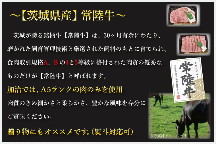 茨城県行方市のふるさと納税 DT-6【常陸牛A5ランク】カルビ焼肉用780g