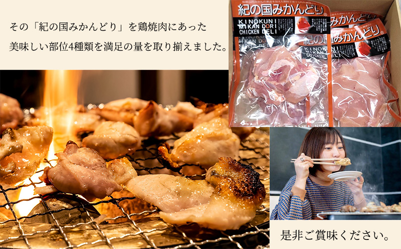 DO6002_紀の国みかんどり 鶏 焼肉 セット（和歌山県有田郡湯浅町） | ふるさと納税サイト「ふるさとプレミアム」