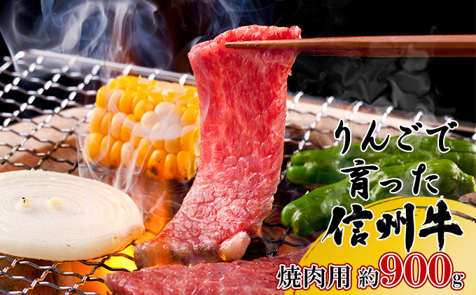 【りんごで育った信州牛】焼肉用 約900g 【 牛肉 信州牛 焼肉 黒毛和牛 A5 肉 お肉 牛 和牛 焼き肉 BBQ バーベキュー ギフト A5等級 冷蔵 長野県 長野 】