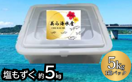 【沖縄県うるま市】【美ら海水産】塩もずく(約5kg)