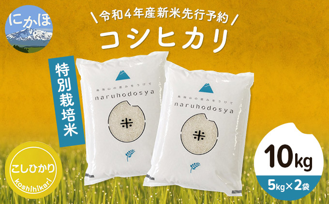 [令和4年産新米先行予約]特別栽培米 コシヒカリ 白米 10kg(5kg×2袋)