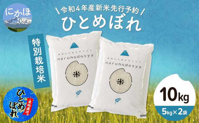 [令和4年産新米先行予約]特別栽培米 ひとめぼれ 白米 10kg(5kg×2袋)