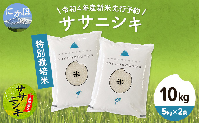 [令和4年産新米先行予約]特別栽培米 ササニシキ 白米 10kg(5kg×2袋)