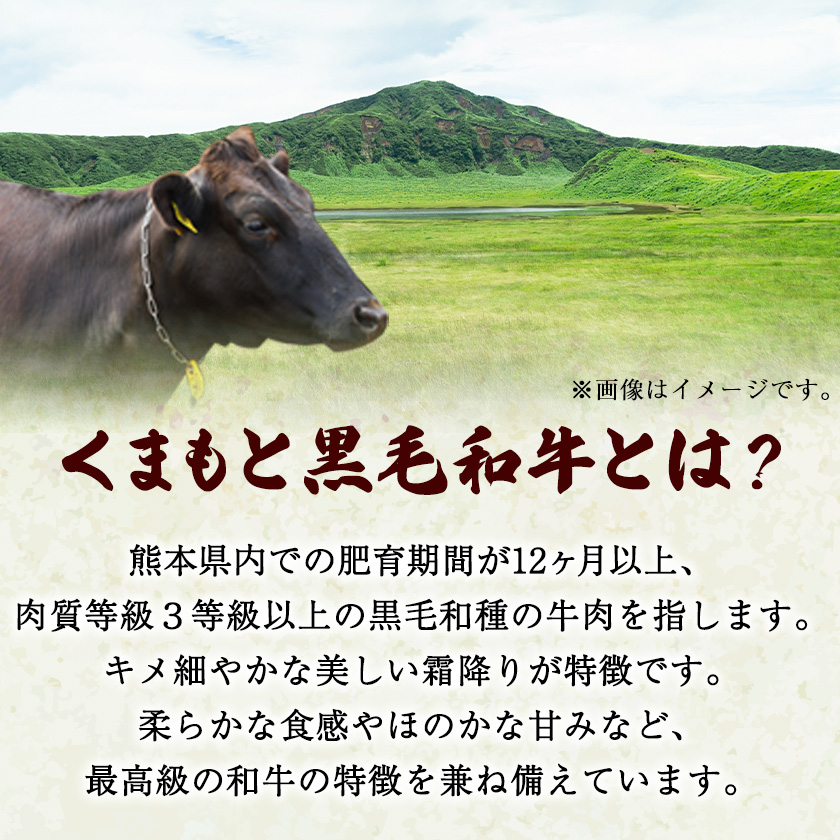 くまもと黒毛和牛 肩ロース 焼肉用 400g 肉のみやべ 《90日以内に順次出荷(土日祝除く)》 焼肉 チンジャオロースー チャーハン 熊本県御船町|