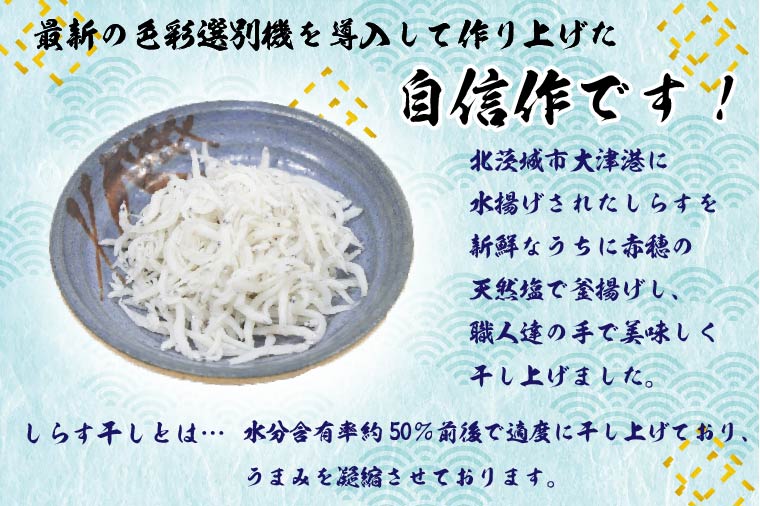 茨城県行方市のふるさと納税 【茨城県共通返礼品／北茨城市】大津港水揚げのしらす干し１kg（DS-5-1）