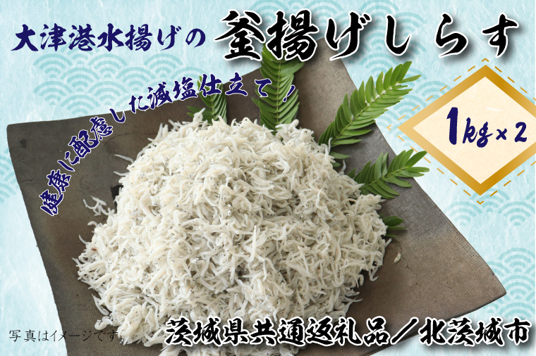 y錧sszy錧ʕԗi^kszÍ`g̊g炷2kg(1kg×2)iDS-8-1j