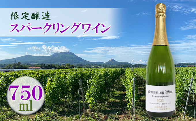◆限定醸造◆北海道伊達市産ぶどう使用 スパークリングワイン 2021