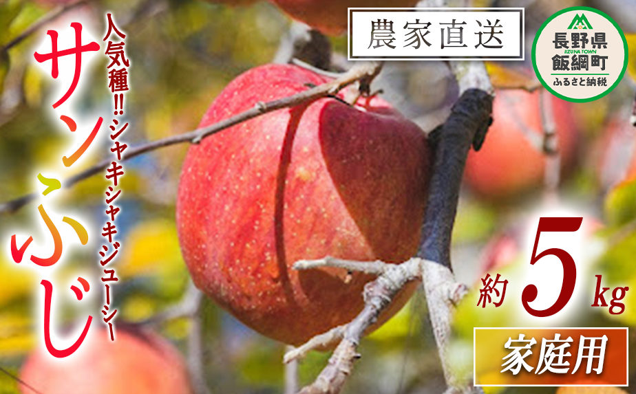 贈物　サンふじ　ふるさと納税　長野県　信州のりんご　約5kg