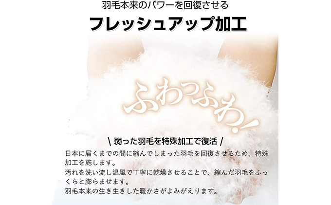 羽毛布団ダブル掛け布団日本製ダウン90％1.6kg立体スクエア