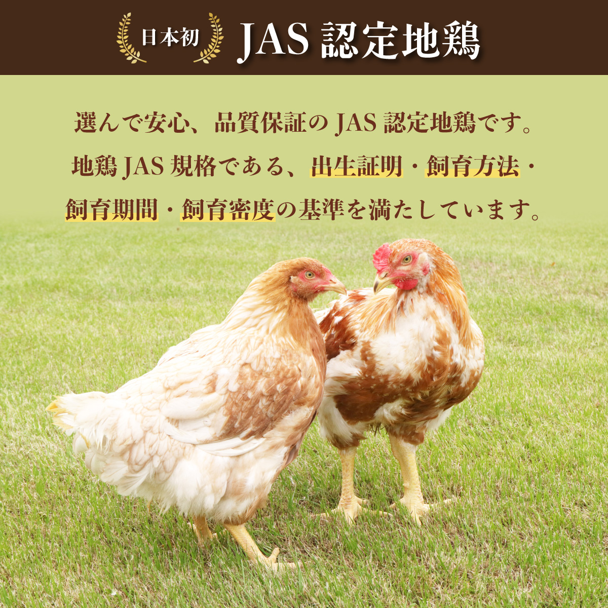 徳島県海陽町のふるさと納税 絶品！阿波尾鶏の焼き鳥串（20本）と手羽元500ｇセット　