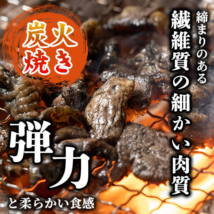 A0-322 【訳あり・在庫過多】数量限定！鹿児島県ブランド地鶏