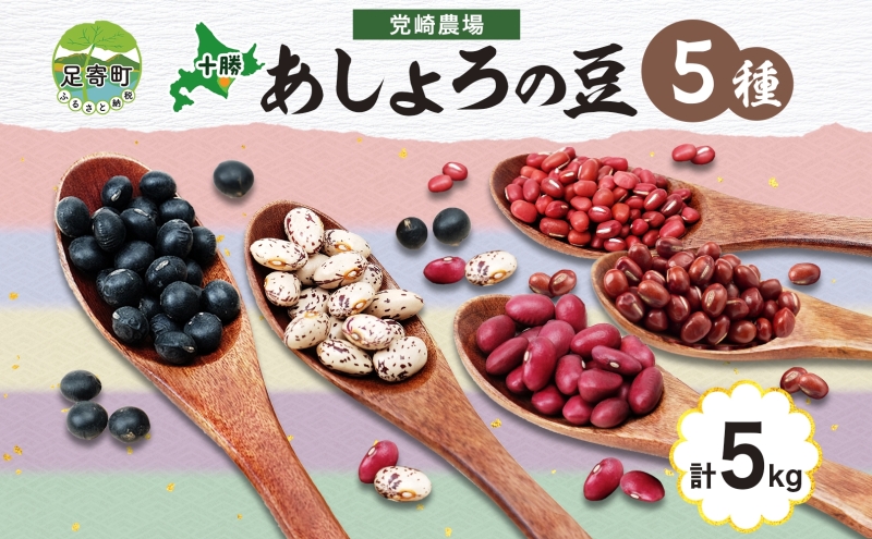 大正金時 1kg 2023年 北海道産 - 乾燥豆類