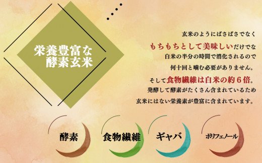 奈良県平群町のふるさと納税 酵素玄米ごはん(長岡式)　8個
