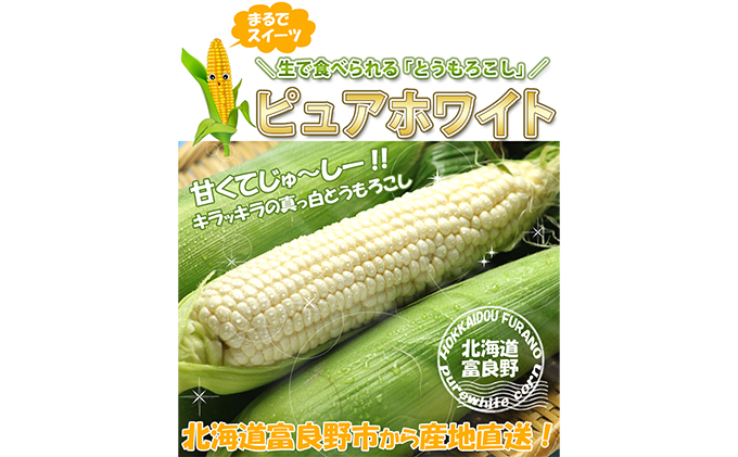 北海道富良野産 生で食べられる とうもろこし ピュアホワイト 10本（L～2Lサイズ）|スイートベジタブルファクトリー