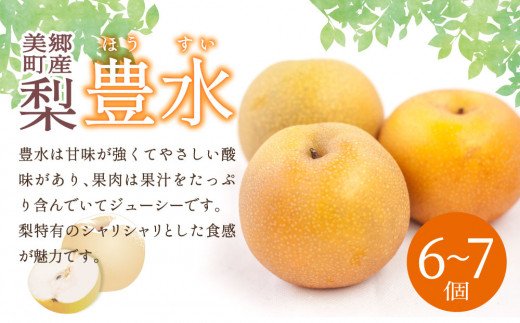 美郷町産 梨 「豊水」 6～7個 国産 ナシ 果物 フルーツ