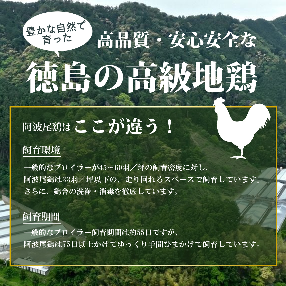 小分けで便利！阿波尾鶏もも肉切り身バラ凍結 3kg 鶏肉 鶏もも 阿波尾