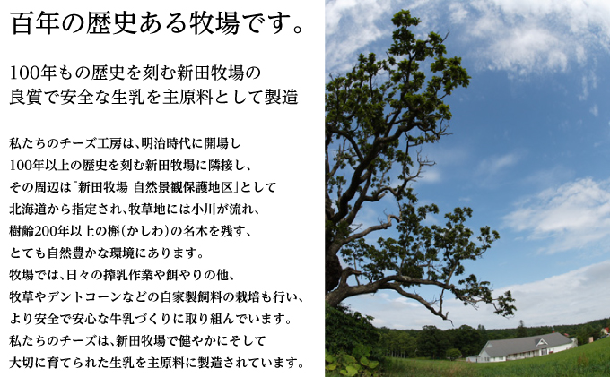 北海道幕別町のふるさと納税 NEEDSオリジナルチーズ7種詰合せB（ラクレット）【十勝幕別町】