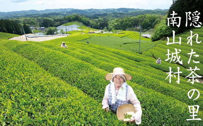 京都府南山城村のふるさと納税 【宇治抹茶スイーツ】抹茶の味がしっかりと味わえる　むらちゃアイス抹茶3個ほうじ茶3個セット お茶 夏 おやつ デザート 食後 ひんやり