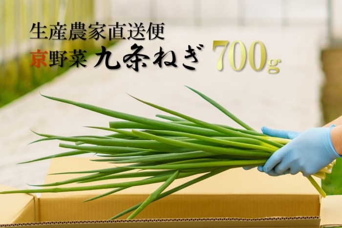 700g　京野菜・九条ねぎ　生産農家直送　クチコミで探すならふるさと納税ニッポン！