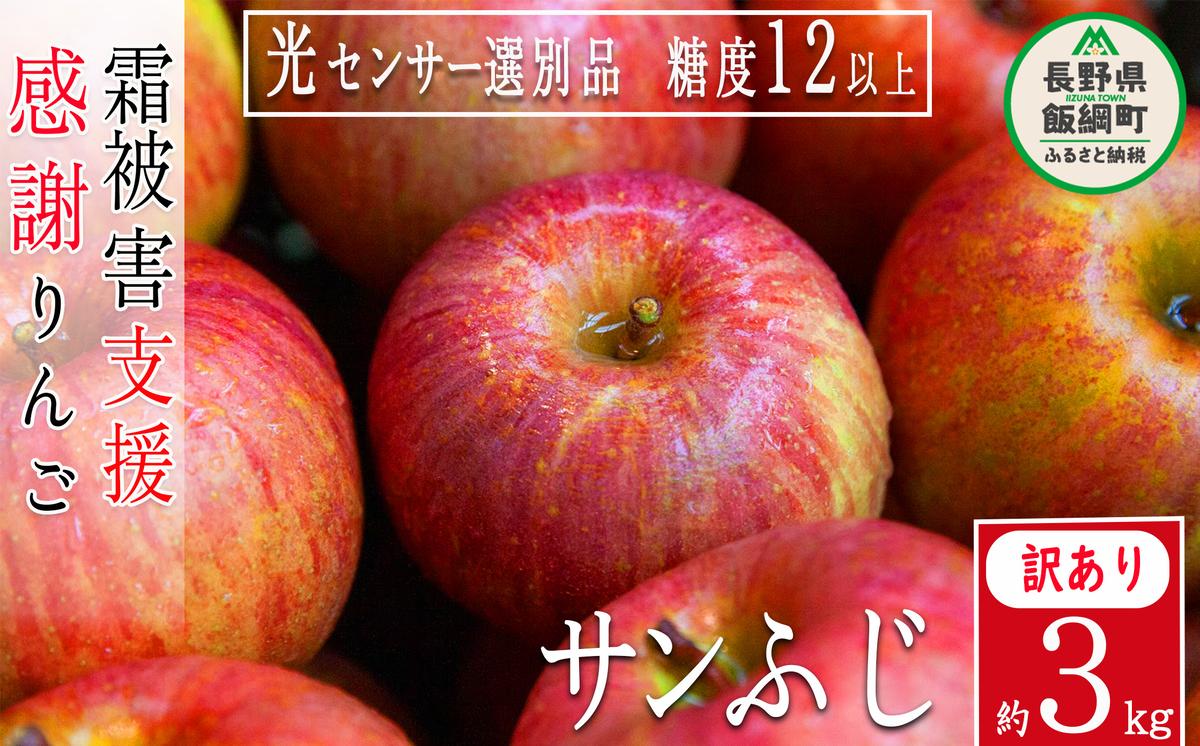 りんご ３Kg 【11/30終了】 果物 