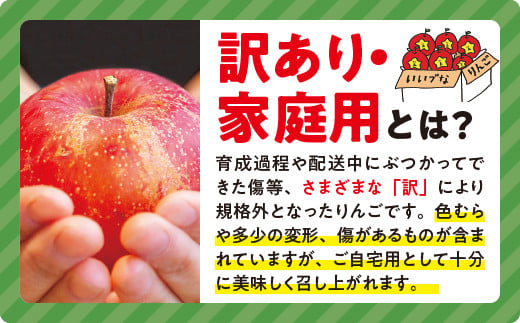 りんご ５Kg 果物 サンふじ 訳あり 長野 「感謝りんご」 交換保証