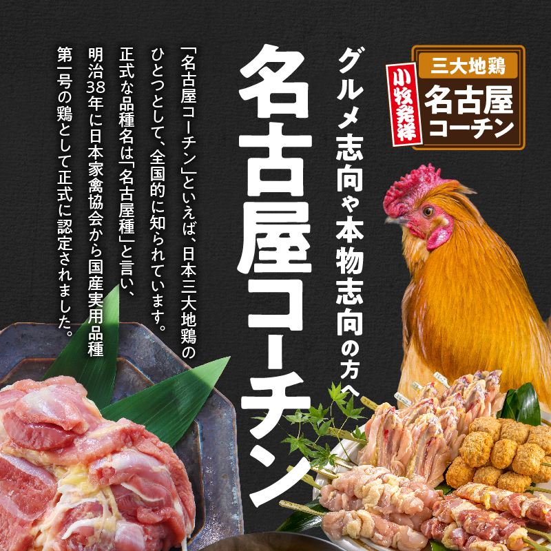 愛知県小牧市のふるさと納税 名古屋コーチン焼き鳥セット(モモ・ムネ・手羽中・つくね)(20本入り)[001T02]