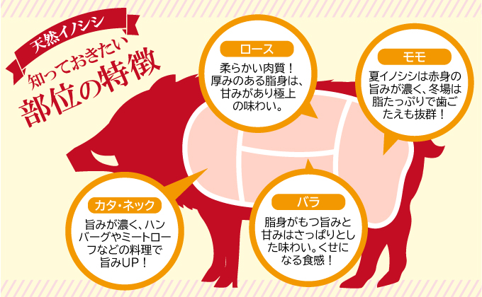 ふるさと納税 イノシシ肉のおかずセット　7袋 島根県美郷町