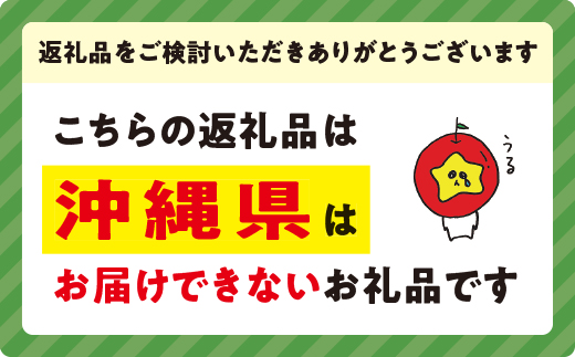 旬のりんご 3種 《 定期便 》 5kg × 3回 Cコース 沖縄県への配送不可