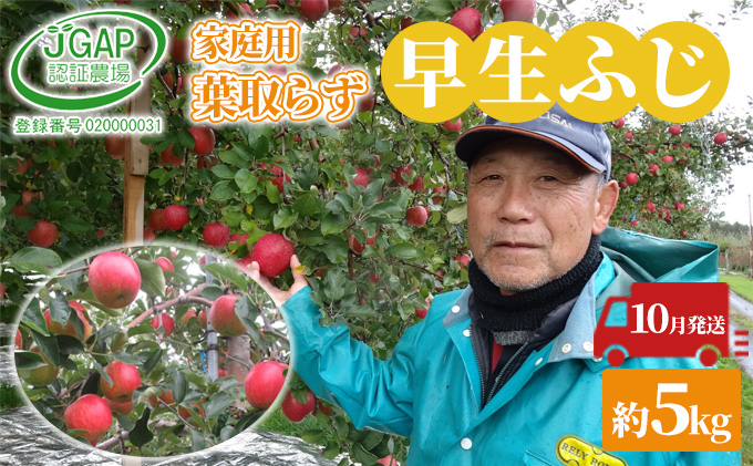青森県産 早生フジ りんご 5kg