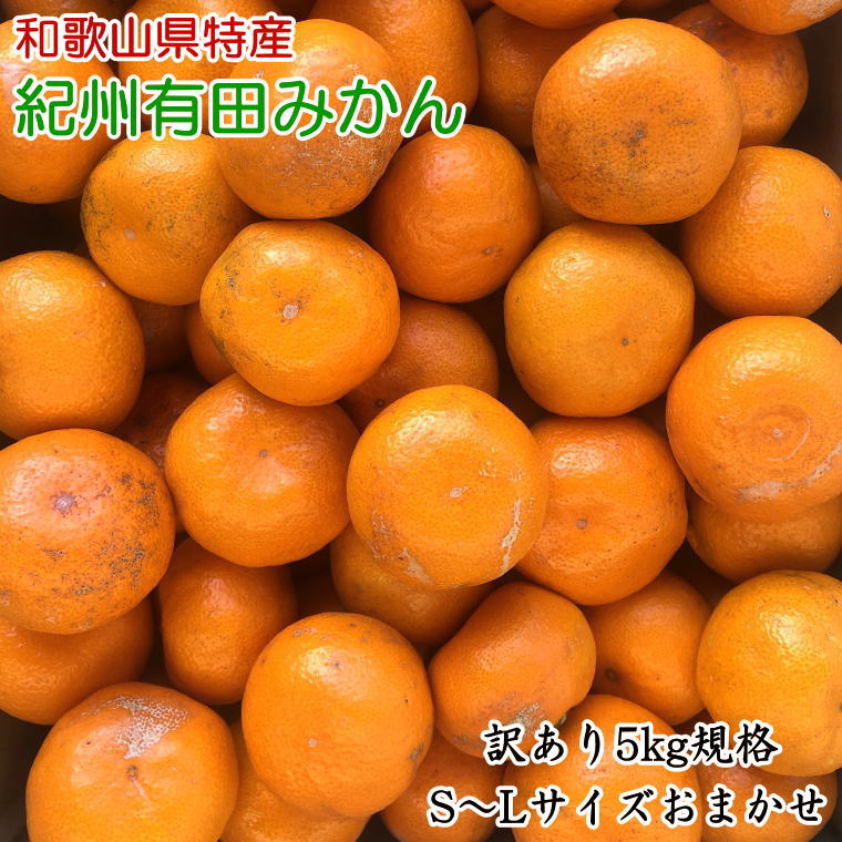 商舗 完熟有田みかん 10kg 先行予約 ※2022年11月下旬〜2023年1月下旬頃に順次発送予定 お届け日指定不可 みかん 柑橘類 fucoa.cl