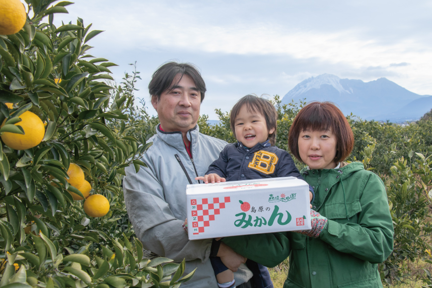 長崎県島原市のふるさと納税 BC003 森崎果樹園のこだわり旬のみかんセット 10kg [みかん ミカン 旬 10キロ 森崎果樹園 長崎県 島原市]