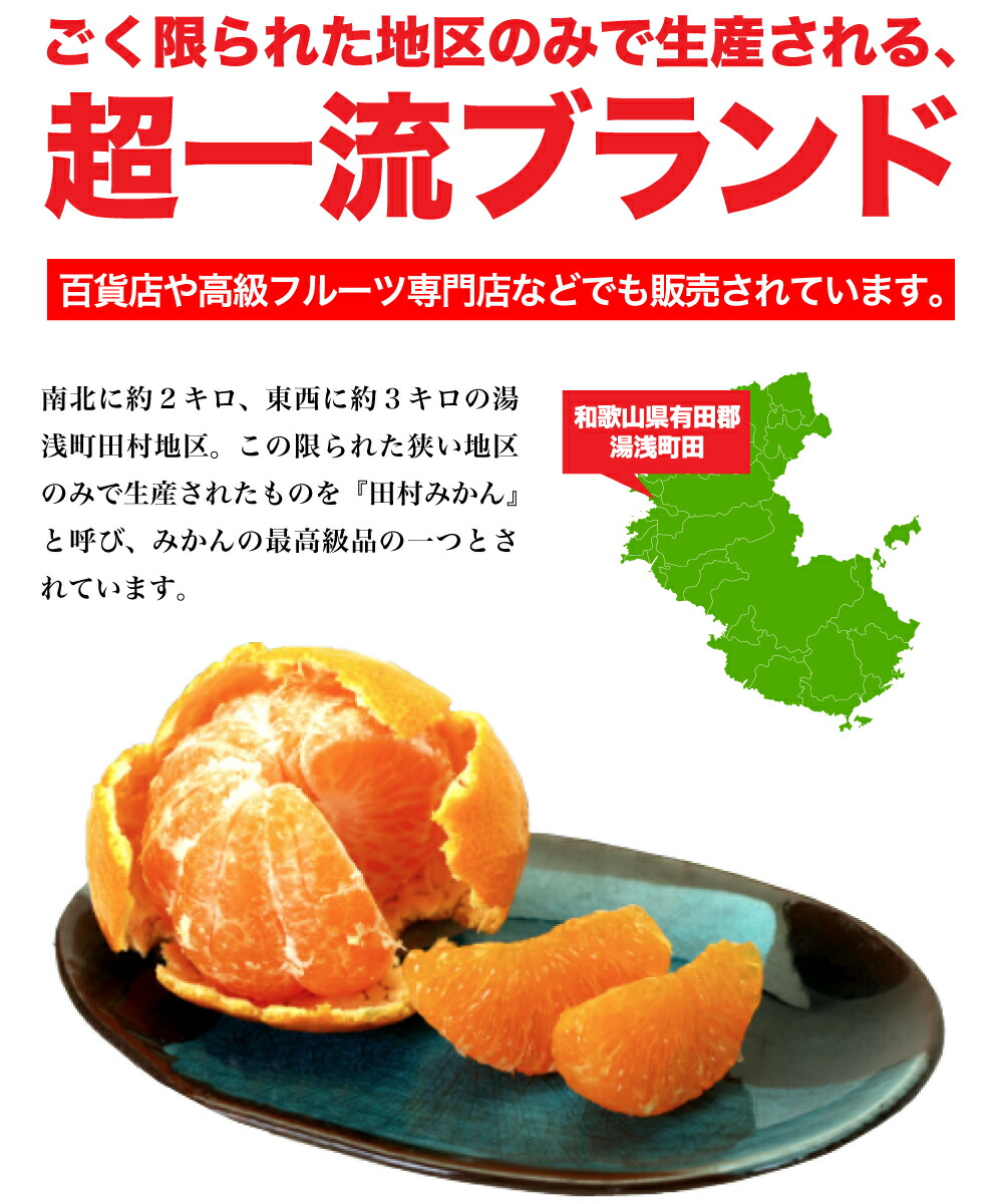 和歌山県湯浅町のふるさと納税 U6240n_「高級 田村みかん」 青秀 約3kg Lサイズ 和歌山県有田産 有田みかん