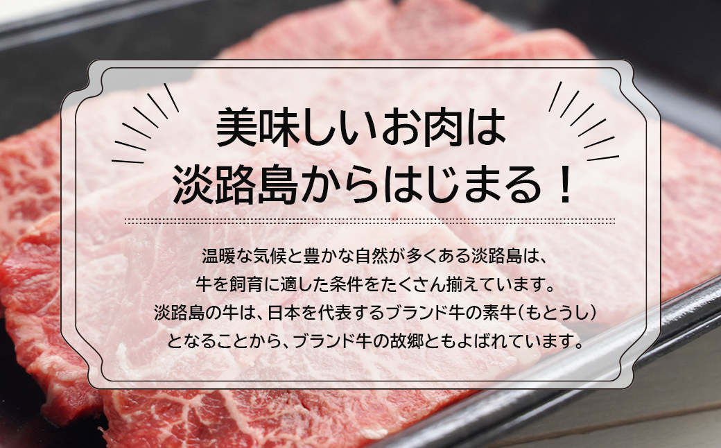 淡路牛ロース焼肉５００ｇ（２５０ｇ×２Ｐ）（兵庫県淡路市） | ふるさと納税サイト「ふるさとプレミアム」