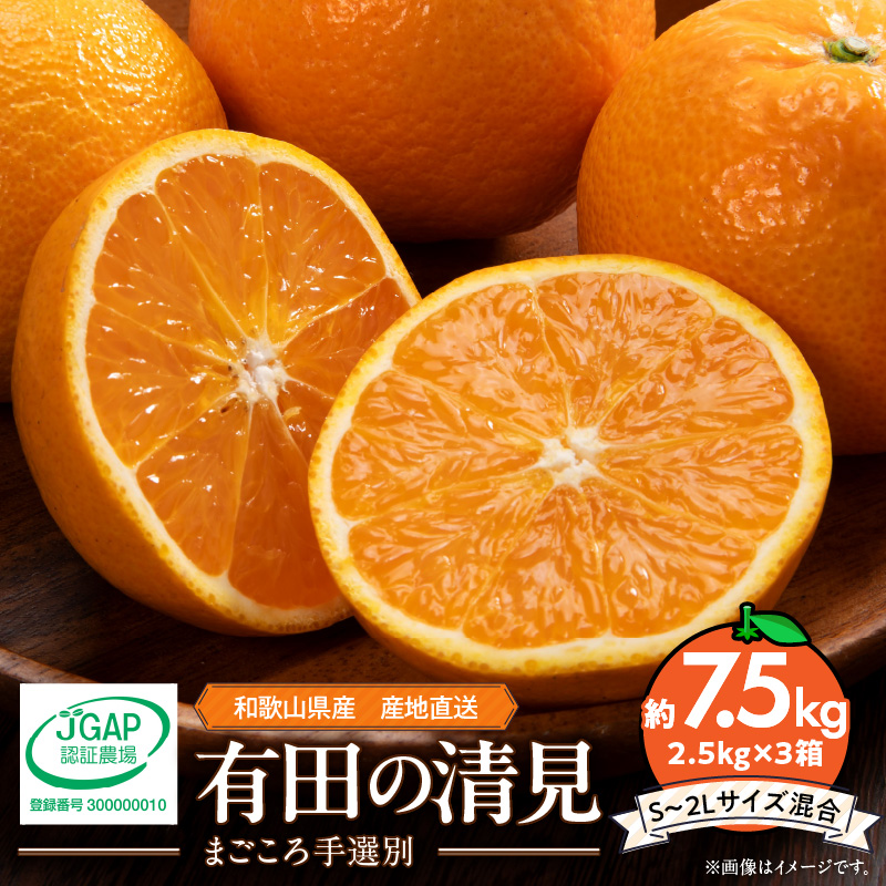 ya̎RLcS󒬁zZE6121n_y2026Ns\za̎RY Lc  7.5kg (2.5kg×3) (S`2LTCY) y܂Iʁz