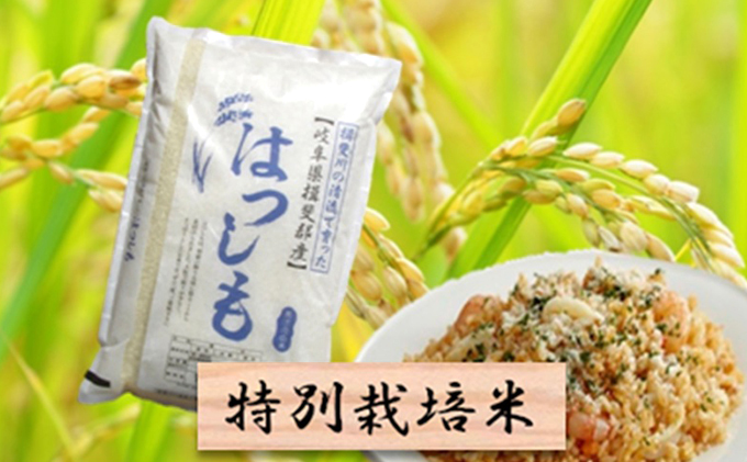 特別栽培米☆精米10kg（分搗き可）または玄米11kg 【ハツシモ】（岐阜県池田町） | ふるさと納税サイト「ふるさとプレミアム」