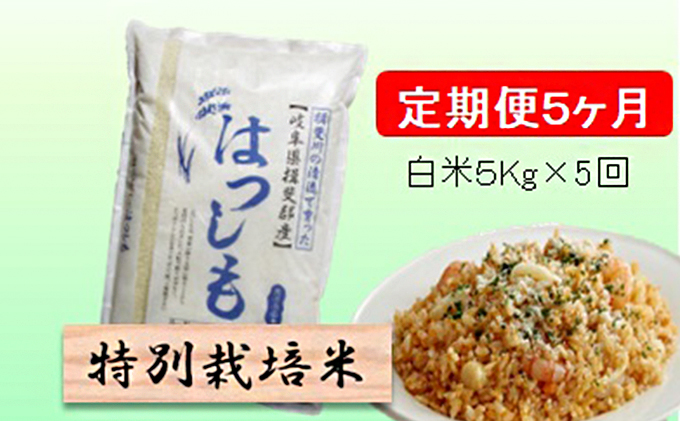 特別栽培米★[定期便] 5カ月★毎月 白米５kg 【ハツシモ】