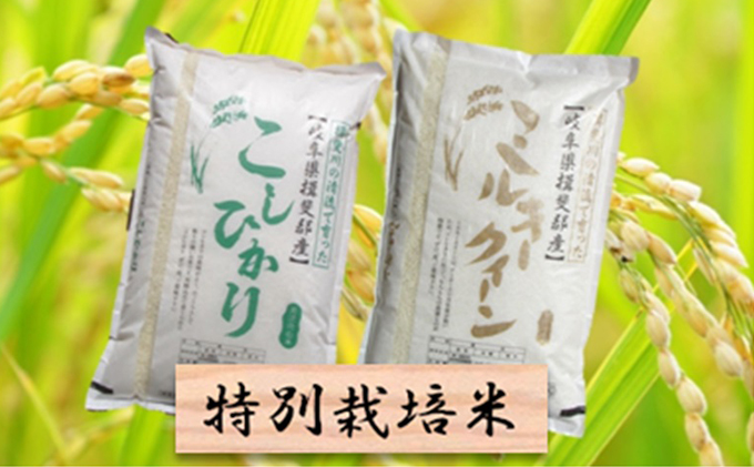 特別栽培米★精米20kg（分搗き可）または玄米22kg 【コシヒカリ・ミルキークイーン】