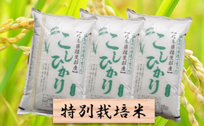 特別栽培米★精米30kg（分搗き可）または玄米33kg 【コシヒカリ】