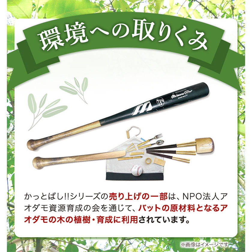 東京ヤクルトスワローズ ロゴ入りバット カンフーバット | 東京ヤクルトスワローズ オフィシャルネット