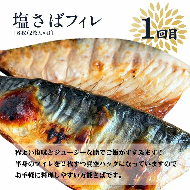 G60-T11_【定期便 全3回】魚鶴商店の人気のお魚定期便（和歌山県有田郡湯浅町） | ふるさと納税サイト「ふるさとプレミアム」