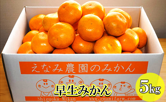 2024年11月上旬以降順次発送】えなみ農園の早生みかん 5kg（S～Lサイズミックス） / 静岡県浜松市 | セゾンのふるさと納税