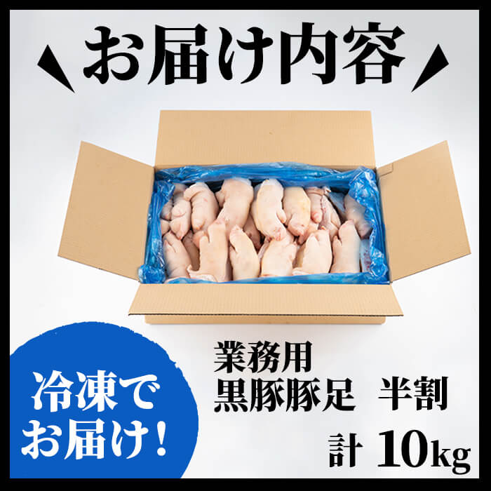 鹿児島県志布志市のふるさと納税 a1-070 【訳あり・業務用】九州産黒豚豚足 半割 計10kg